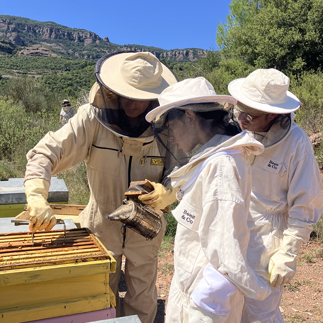 Visites-tastos-maridatges-la-mel-2