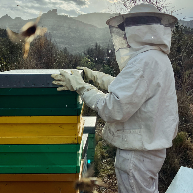 Visites-tastos-maridatges-la-mel