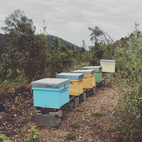 esbarzer-hover Mel d’Esbarzer 37%